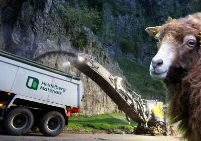 Rare-breed sheep were among challenges faced by workers at the Cheddar Gorge site... Pictures: Somerset Council/Pixabay