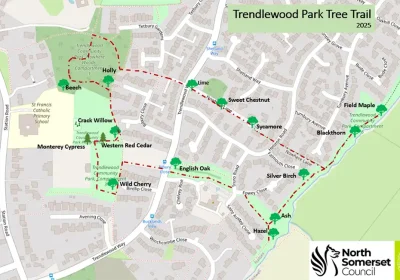 The new tree trail in Nailsea. Picture: North Somerset Council
