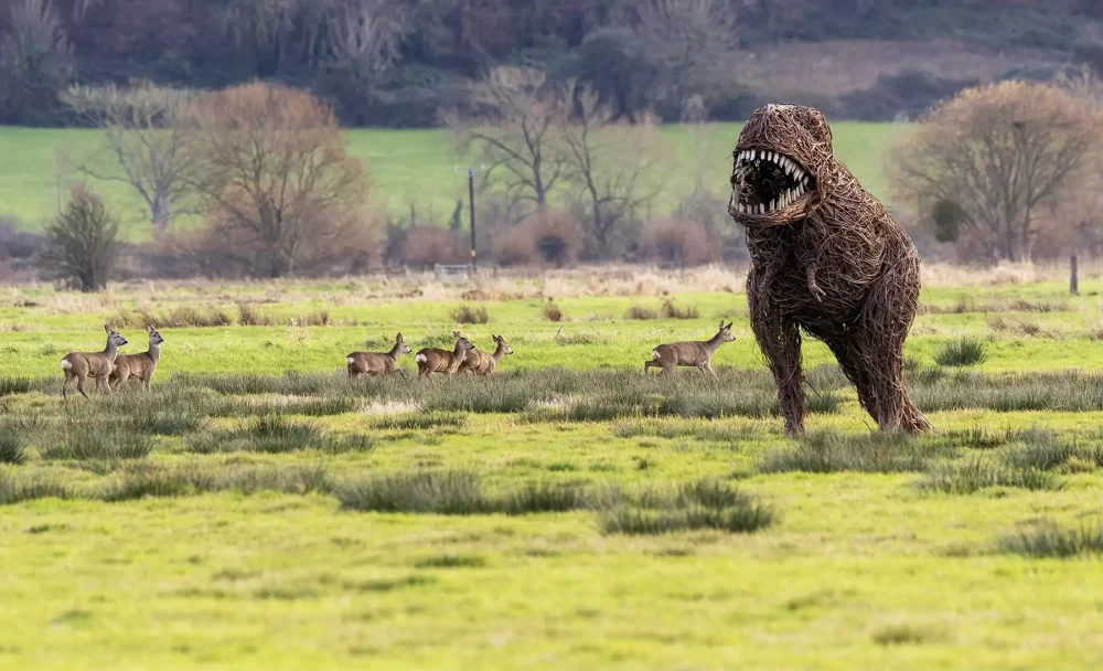 T-Rex in the wild - on the Somerset Levels. Picture: Jenny Simpson/Coates English Willow