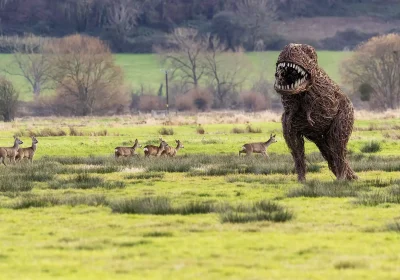 T-Rex in the wild - on the Somerset Levels. Picture: Jenny Simpson/Coates English Willow