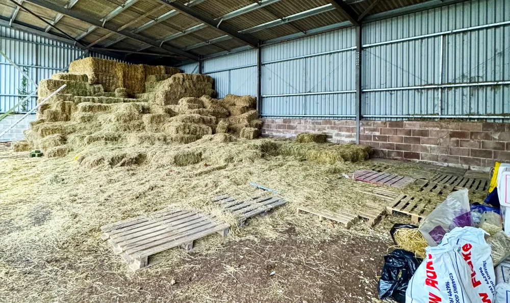 Ferne Animal Sanctuary is running low on hay...
