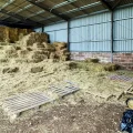 Ferne Animal Sanctuary is running low on hay...