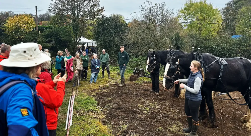 The work will continue developing the community woodland in Frome