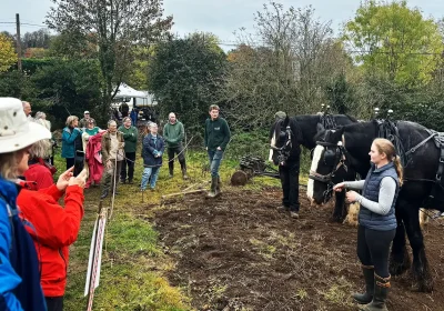 The work will continue developing the community woodland in Frome