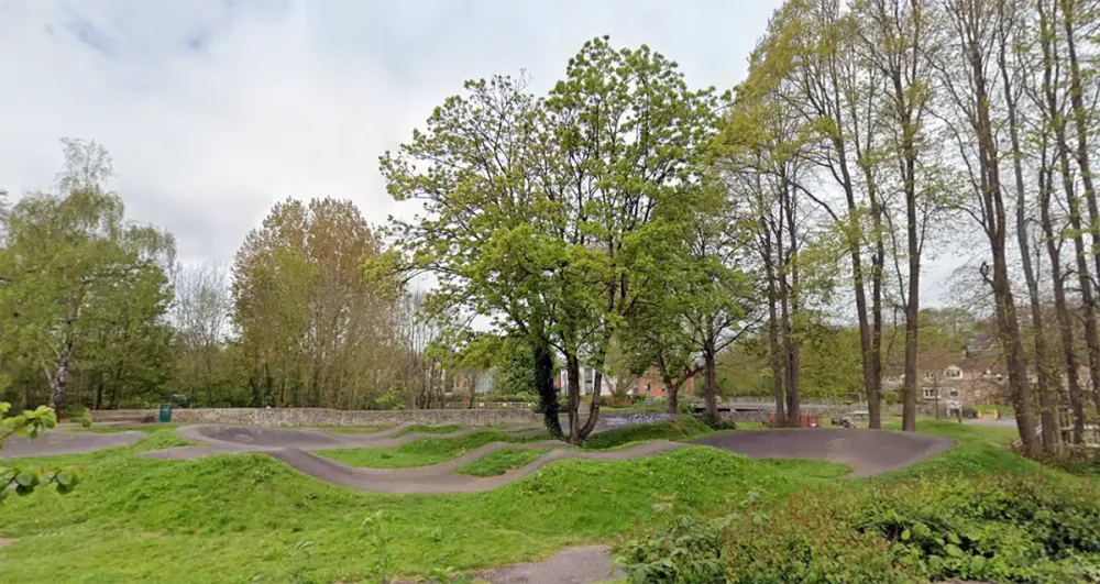 The sycamore, at the Welshmill Pump Track, is set to be felled on Thursday. Picture: Google