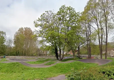 The sycamore, at the Welshmill Pump Track, is set to be felled on Thursday. Picture: Google