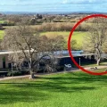 The tree, highlighted, will be cut down later in January. Picture: Google
