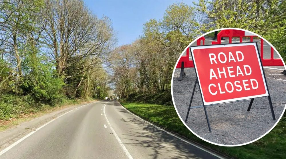 The A38 will be closed between 9.30am and 3.30pm for diseased ash trees to be felled. Picture: Google