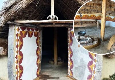 The new Iron Age Roundhouse opens at Avalon Archaeology in March