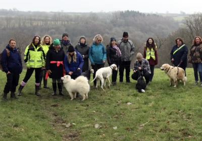 The Pet Celebration Day runs on Saturday at Ferne Animal Sanctuary