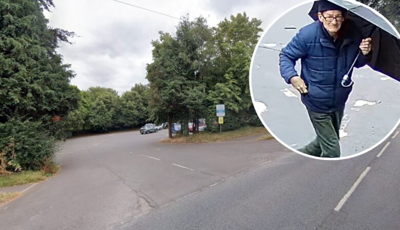 Officers want to trace this person after thefts from Dunster Steep car park, in Dunster. Pictures: Avon & Somerset Police/Google