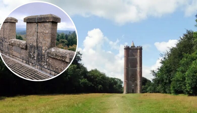 The National Trust said the low cills 'increase the risk of falling'. Pictures: National Trust/Somerset Council