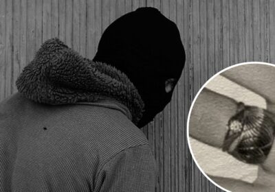 The ring, pictured inset, was stolen during a burglary at High Littleton. Picture: Avon & Somerset Police