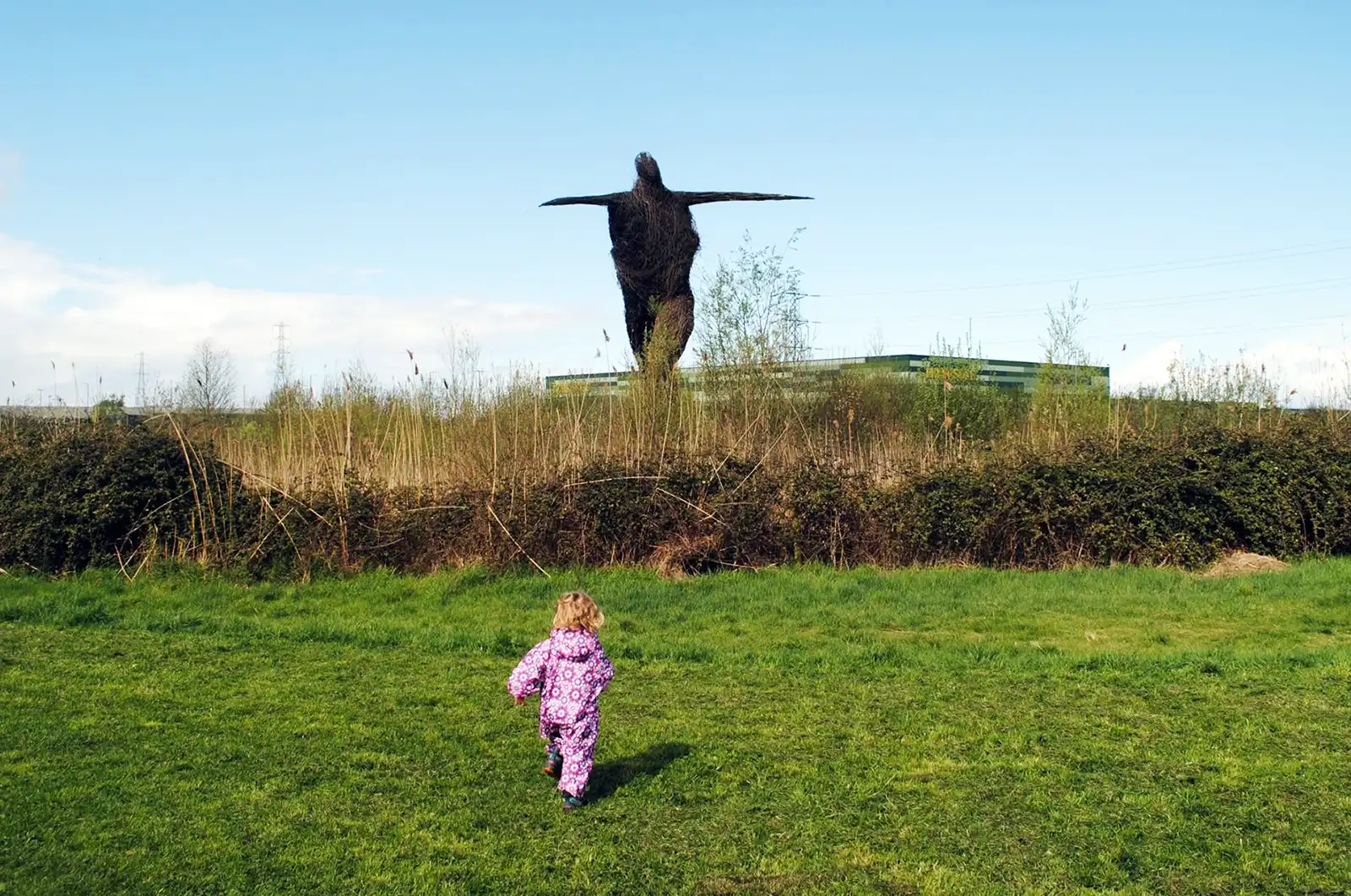 The Willow Man was enjoyed by Somerset residents - and drivers passing through - for years. Picture: Somerset Leveller