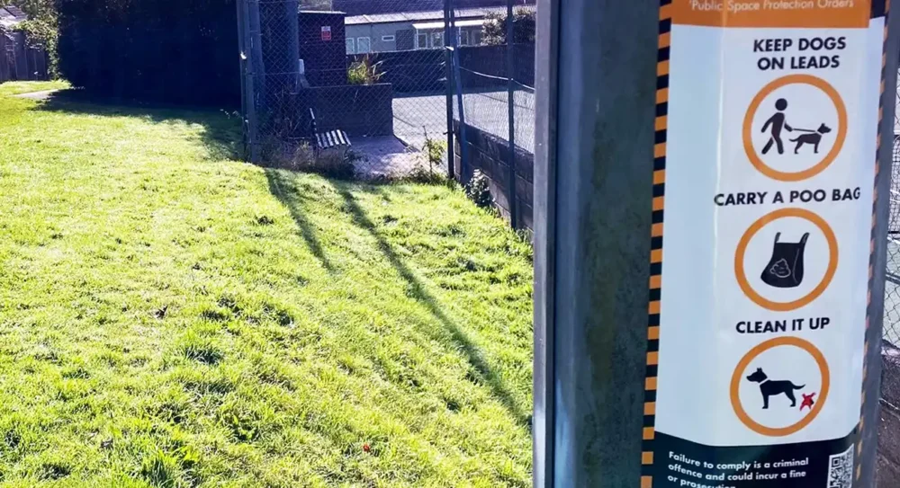 PSPOs outline rules over things like dog fouling in public spaces. Picture: NSC