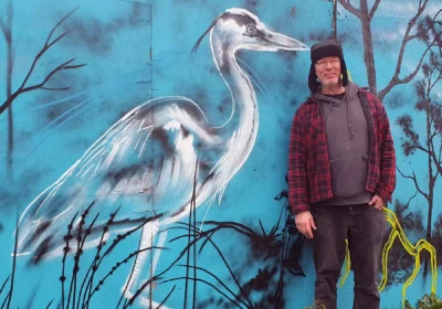 Frome Town Council (FTC) commissioned artist Paul Mutartis Boswell to create a mural for boards in Vallis Road