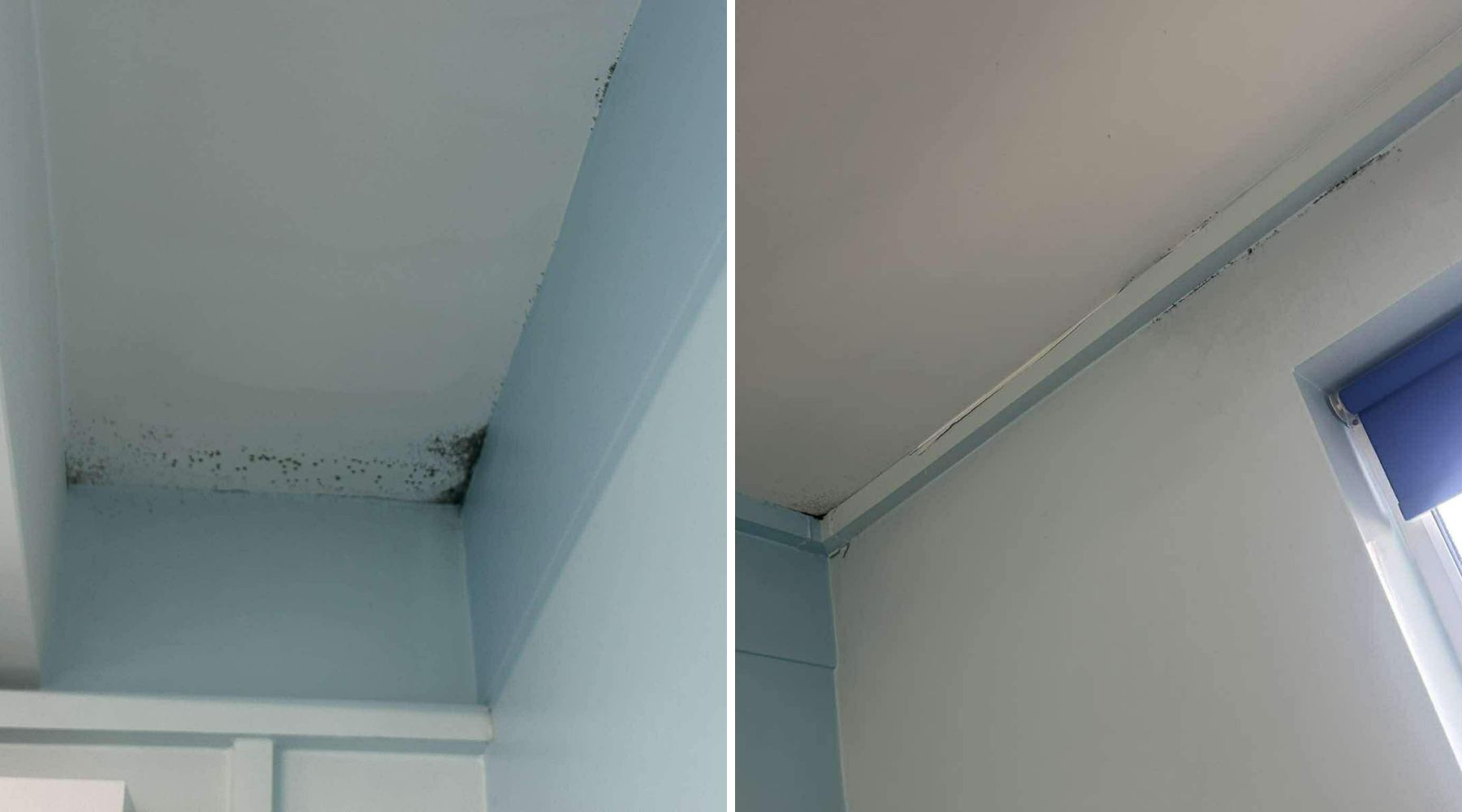 Dad Nick Kilby was shocked to spot mould on the ward where his new daughter was being cared for at Musgrove Park Hospital in Taunton